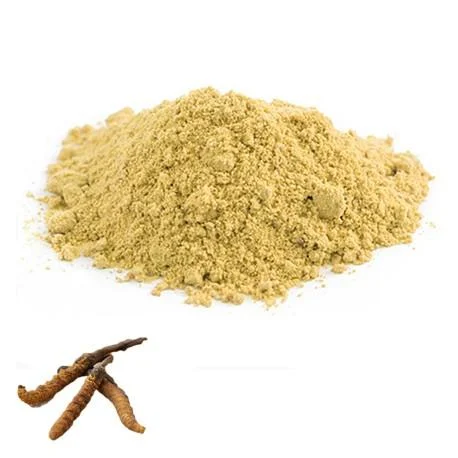 இந்த இறந்த புழுவின் விலை கிலோ ₹ 9 லட்சம்... இமயமலையில் கறுப்புத் தங்கம்!