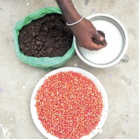 ஒரு கிலோ உயிர் உரம்... 30 கிலோ யூரியாவுக்குச் சமம்! - உதவிக்கு வரும் உயிரியல் - 7