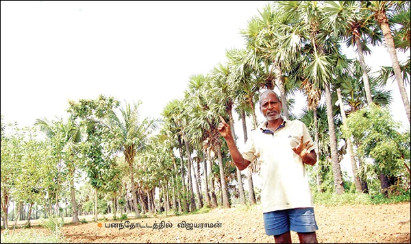 நம் வழி... நம்மாழ்வார் வழி... - 5 நிமிட வாசிப்பில் பசுமை விகடனின் 10 அம்சங்கள்