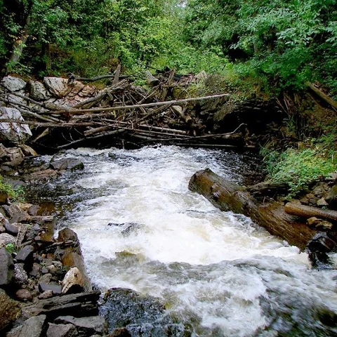 மலையிலிருந்து இறங்கியதும் திடீரென மர்மமாய் மறையும் சரஸ்வதி நதி... உண்மை என்ன?