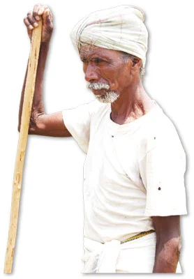 மாடு மேய்க்கப் போவோமா?
