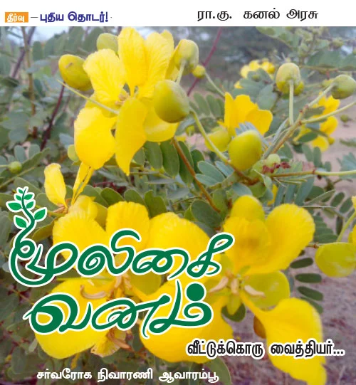 மூலிகை வனம்