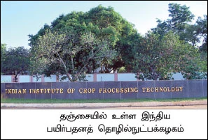 லாபத்தைப் பெருக்கும் லட்டுத் தொடர்...