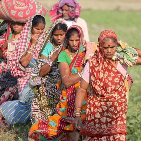 11 லட்சம் பழங்குடிகளுக்கு மத்திய அரசு இழைத்த மாபெரும் துரோகம் இது! #TribalEviction