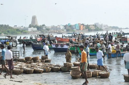 ராமேஸ்வரம் மீனவர்கள் மீது இலங்கை கடற்படை மீண்டும் தாக்குதல் (படங்கள்)