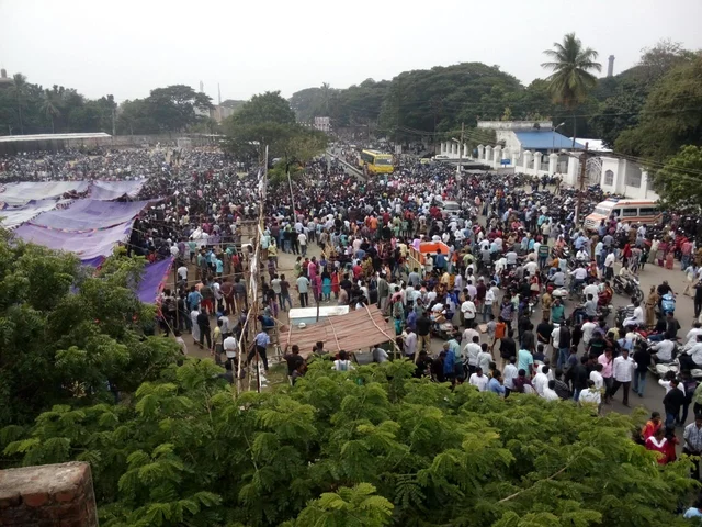 திமிறும் தமிழகம்: அவசரச் சட்டம் பிறப்பித்தார் ஆளுநர்! அலங்காநல்லூரில் நாளை ஜல்லிக்கட்டு #LiveUpdate