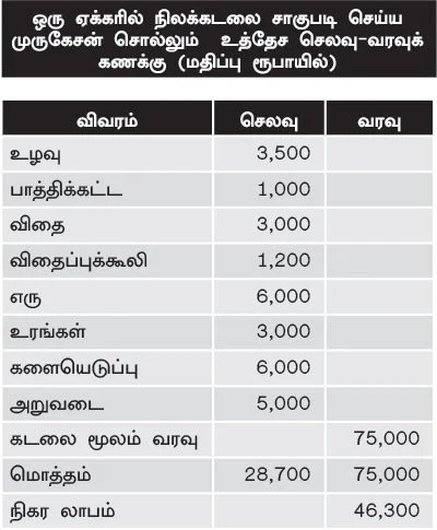 ஆடியில் விதைத்தால், நிலக்கடலைக்கு நல்ல விலை!