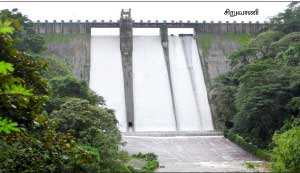 கண்ணீர் வடிக்கும் தண்ணீர் தாய்!