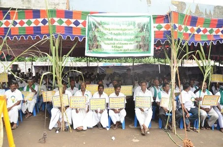 அரவை பருவம் முடிவதற்குள் நிலுவைத் தொகையை வழங்க கரும்பு விவசாயிகள் வேண்டுகோள்!