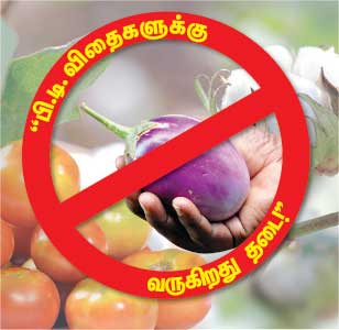 ''பி.டி. விதைகளுக்கு வருகிறது தடை!''