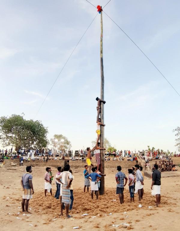 `புதுக்கோட்டையில் 80 அடி உயர வழுக்கு மரம்!’ - போட்டி போட்டு ஏறிய இளைஞர்கள்
