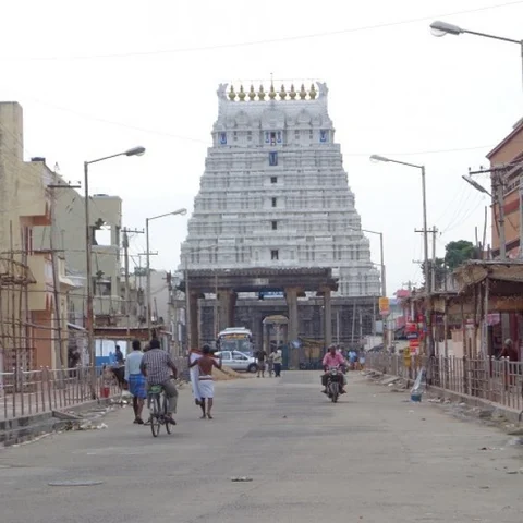 மந்தார இலையின் வாசம்.. 15-ம் நூற்றாண்டின் ருசி! - கம கம காஞ்சிபுரம் கோயில் இட்லி #MyVikatan