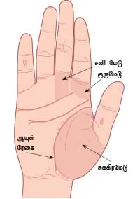 எண்ணும் உணவும்!
