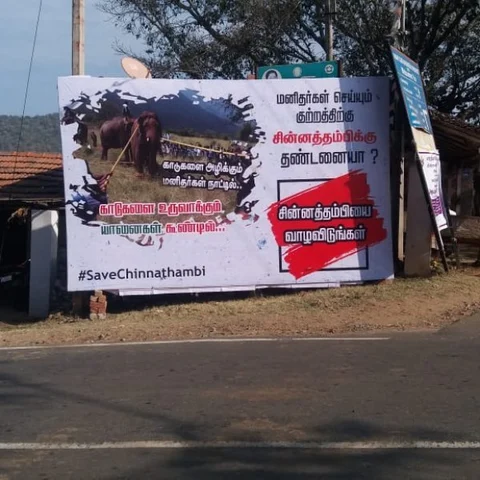 `காட்டை உருவாக்கும் யானை கூண்டில், அழிக்கும் மனிதன் நாட்டில்' -சின்னத்தம்பிக்காக வைக்கப்பட்ட பேனர்!
