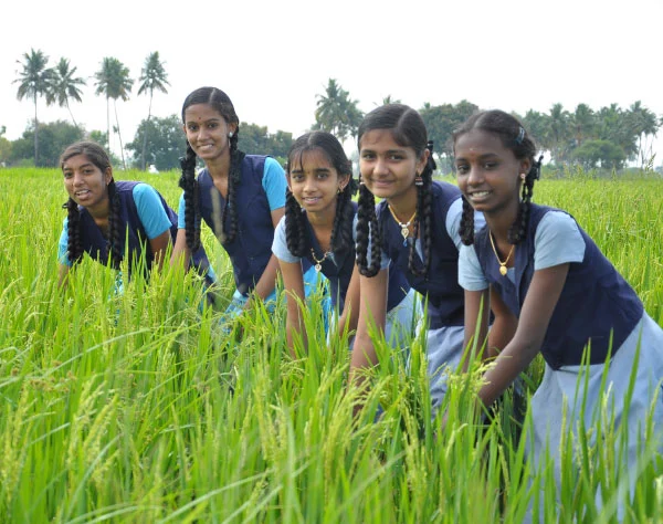 வயலுக்குச் சென்றோம் விவசாயம் படித்தோம்!