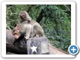 சாதாரண மனிதர்களின் அசாதாரண தருணங்கள்! - மகா.தமிழ்ப் பிரபாகரன் க்ளிக்ஸ்