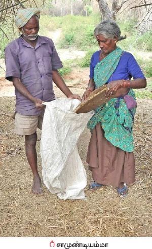 மூங்கில் அரிசி... இயற்கையின் அற்புதக் கொடை!