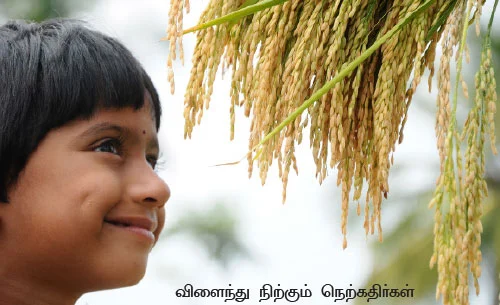 அள்ளிக்கொடுக்கும் பாரம்பரிய ரகங்கள் !