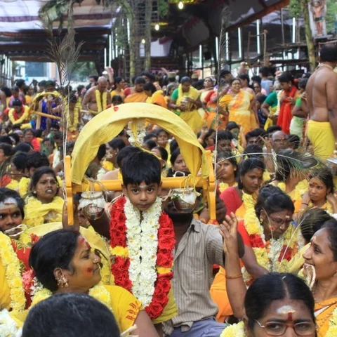 வடபழனி முருகன் கோயிலில் தைப்பூசத் திருவிழா கோலாகலம் - பக்தர்கள் வழிபாடு!