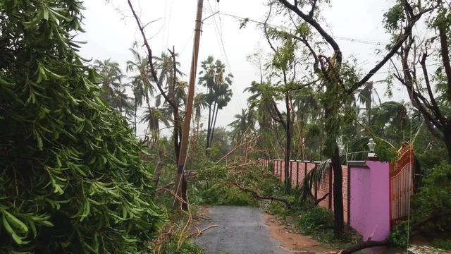 ‘டெல்டா விவசாயிகளுக்காக அமெரிக்காவில் மொய் விருந்து’- 8000 டாலர்கள் திரட்டிய அமெரிக்கத் தமிழர்கள்