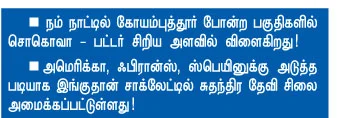 சாக்லேட் எடு... கொண்டாடு!