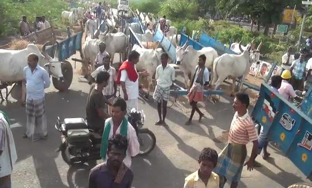 `300 குடும்பங்களின் கதறல் உங்கள் காதில் விழவில்லையா?’ - மாட்டு வண்டித் தொழிலாளர்கள் கண்ணீர்