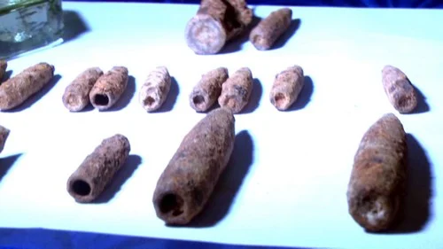 தூத்துக்குடி அருகே கண்மாய்க்குள் கிடந்த தோட்டாக்கள் (படங்கள்)