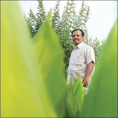 அடுத்து என்ன? - சு.வேணுகோபால்