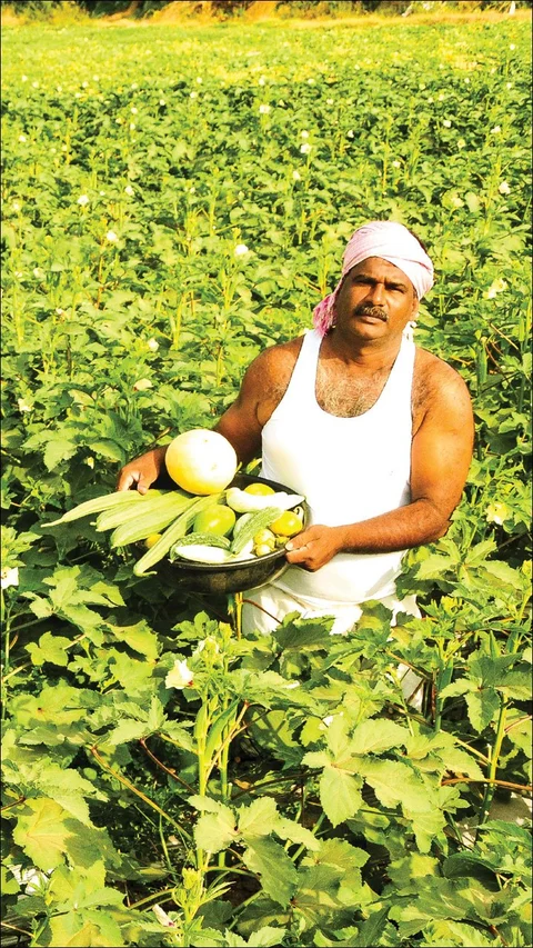 கலக்கலான வருமானம் தரும் கலப்புப் பயிர்கள்!