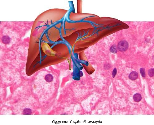 ``75 சதவிகிதம் கல்லீரல் பாதிப்போடு வாழ்கிறேன்"- அமிதாப் பச்சன் #HepatitisB