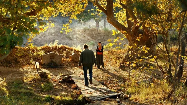 நீர் வற்றிய நிலத்தின் நெடுமரம் - சைலானின் The Wild Pear Tree ஒரு பார்வை #iffi2018