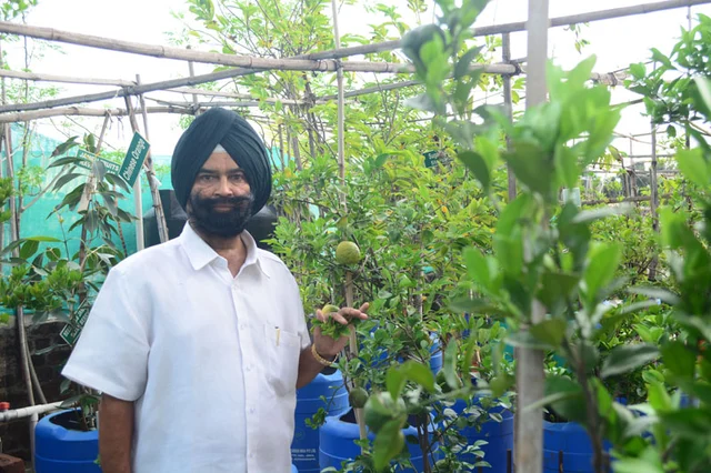 'கான்கிரீட் காட்டில் ஓர் தோட்ட வீடு'...! சாதித்து காட்டிய 'முகப்பேர் சிங்'