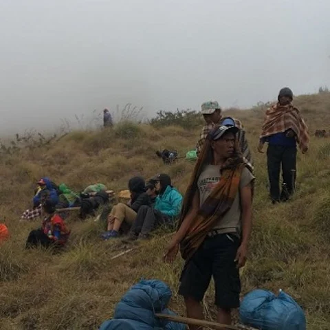 திடீர் நிலநடுக்கம்! எரிமலை சரிவில் சிக்கிக்கொண்ட சுற்றுலாப் பயணிகள்