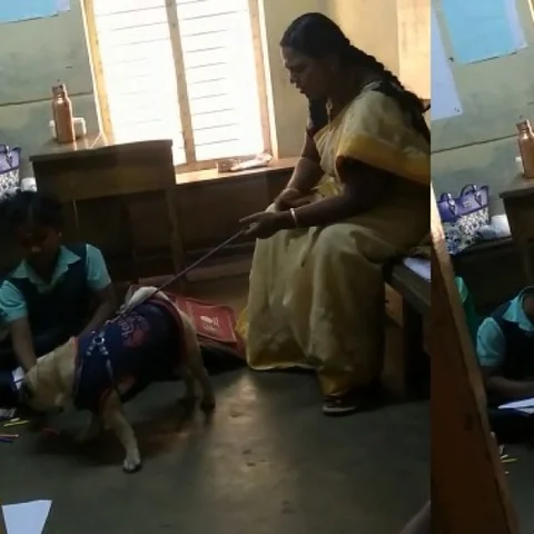 நாய், செல்போனுடன் வகுப்பறையில் பள்ளி தாளாளர் - பதறும் சென்னை அரசுப் பள்ளி மாணவிகள் #ViralVideo