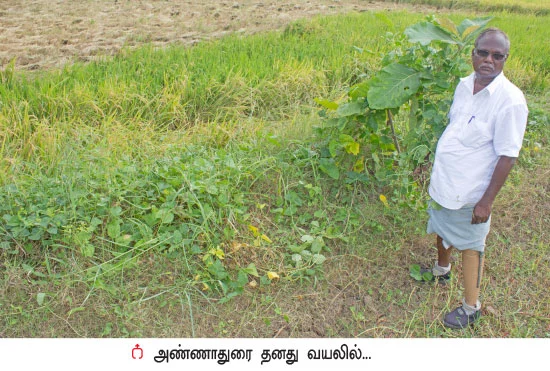 நம்பிக்கை கொடுத்த இயற்கை விவசாயம்...