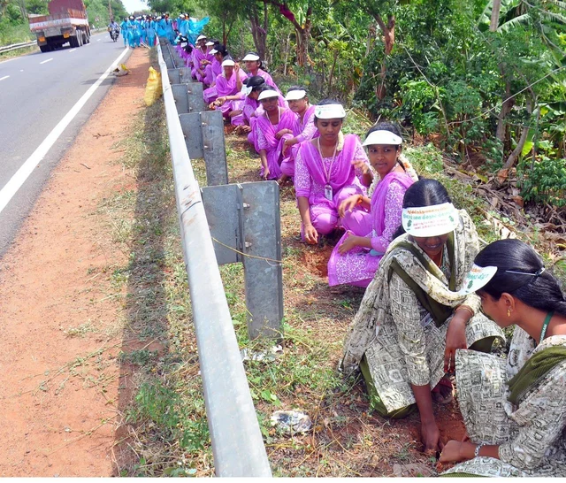 பனை மரத்தை அழிவிலிருந்து காக்க சாலையோரத்தில் விதைக்கப்பட்ட விதைகள்!