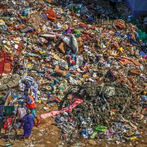 குப்பையில் வீசப்பட்ட பெண்ணின் இரண்டு கால்கள், கை - சென்னையில் அதிர்ச்சி