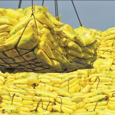 Agri Export for abundant income... Successful Strategies - Part 2