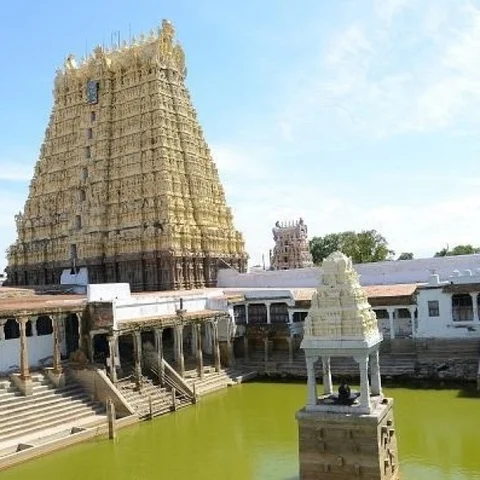 சர்ப்பதோஷம் போக்குவாள்... சங்கடங்கள் நீக்குவாள்... சங்கரன்கோயில் கோமதி அம்மன்! #AadiSpecial