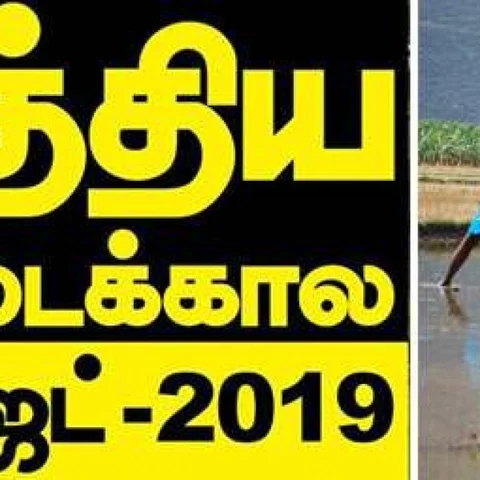 2 ஹெக்டேருக்குக் குறைவாக நிலமிருந்தால் ஆண்டுக்கு ரூ.6,000! #Budget2019