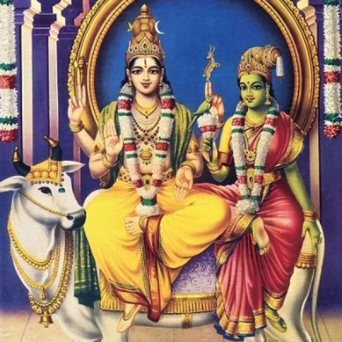 சிவ வழிபாடு... எந்த ராசிக்காரர்கள் எப்படி வழிபடவேண்டும்?