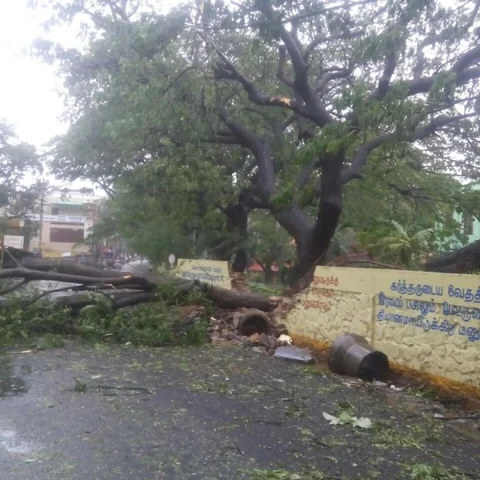 தீவிரம் ஆகிறது ஒகி புயல்...கனமழையால் தவிக்கும் குமரி மாவட்டம் #CycloneOckhi