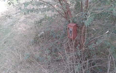 சர்ச்சையில் சிறுத்தை படங்கள்... நாடகமாடுகிறதா வனத்துறை?