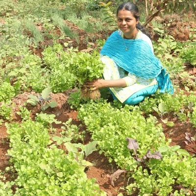 முக்கால் ஏக்கர்... முப்பது வகை காய்கறிகள்!