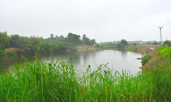 வழிகாட்டுகிறது தருமபுரி... குப்பை மேட்டை, ஏரியாக மாற்றிய இளைஞர்கள்! (வீடியோ!)