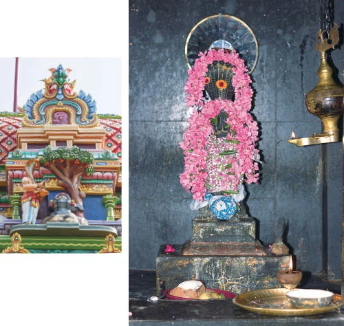 கேது தோஷம் விலகும் !