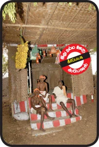பழநியின் குதிரை வண்டி!