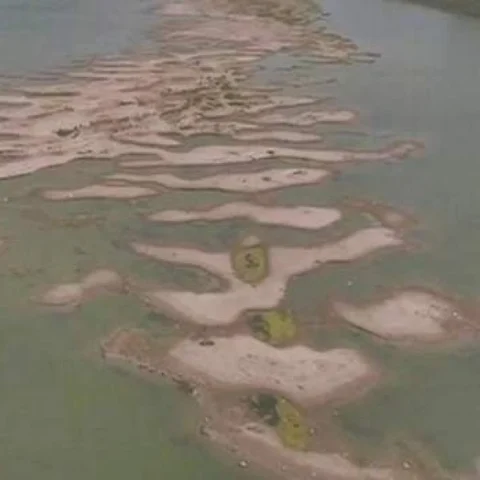 வறண்டுபோன கங்கை நதி... எச்சரிக்கும் ஆய்வாளர்கள்
