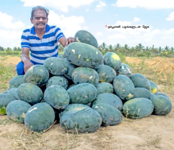 இயற்கை தர்பூசணி...