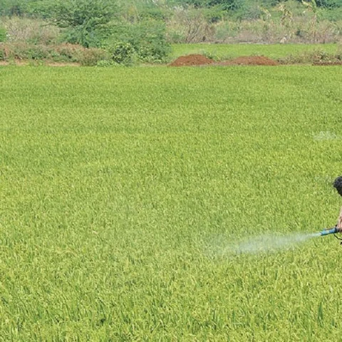 இயற்கை என்.பி.கே... மண்ணை வளமாக்கும் ஜப்பான் தொழில்நுட்பம்! - உதவிக்கு வரும் உயிரியல் - 10